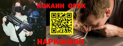крисы Будённовск