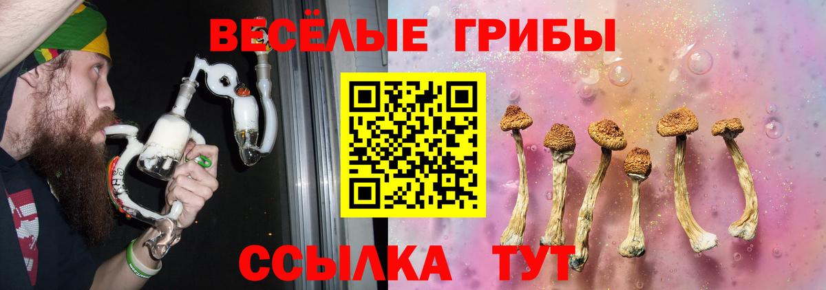 купить наркоту  Вход с VPN  Россошь  Псилоцибиновые грибы прущие грибы 